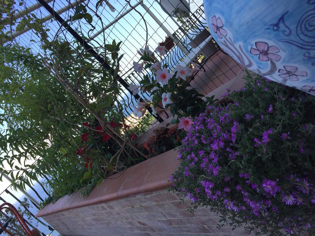 B&B La Terrazza Sul Mare Taormina Eksteriør bilde